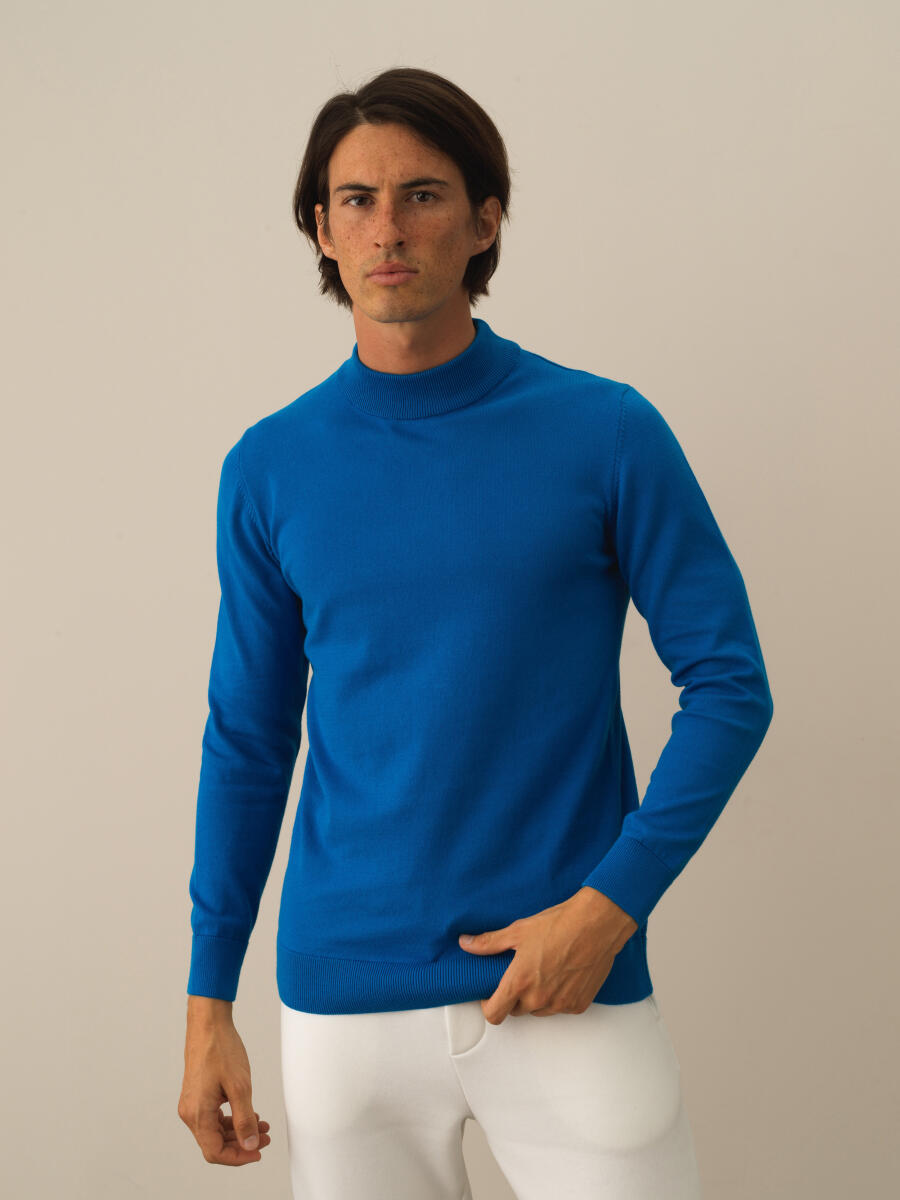 Cotton Regular Fit Basic Sweater