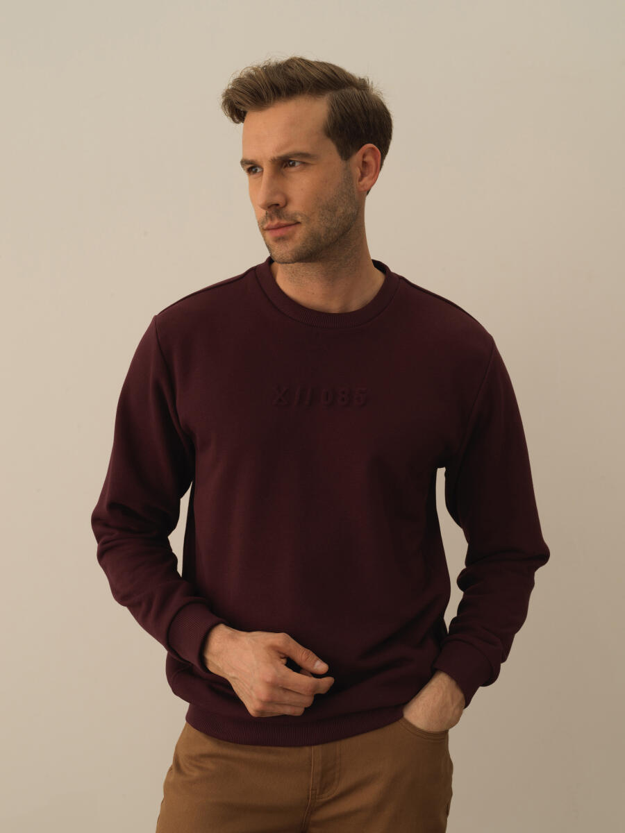 Cotton Regular Fit Gauffre Printed Sweatshirt