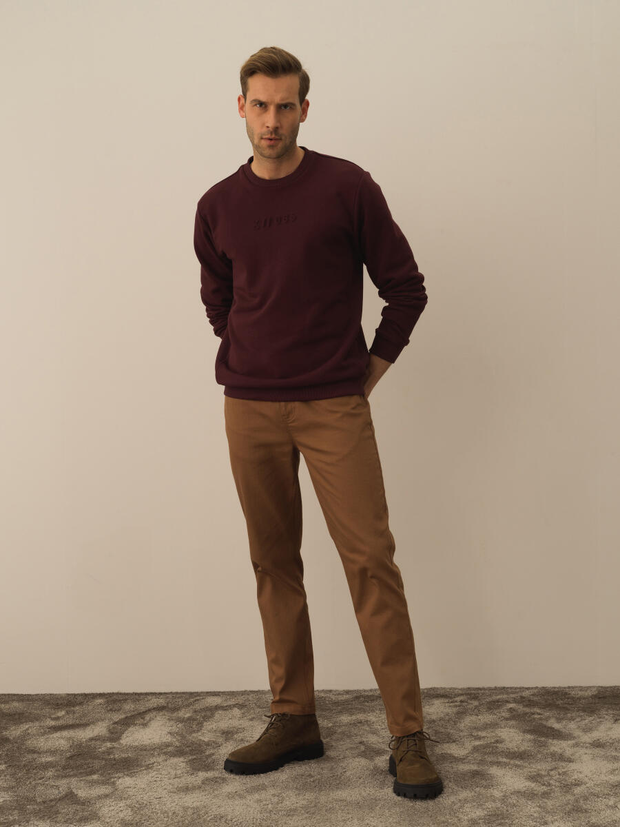 Cotton Regular Fit Gauffre Printed Sweatshirt - 2