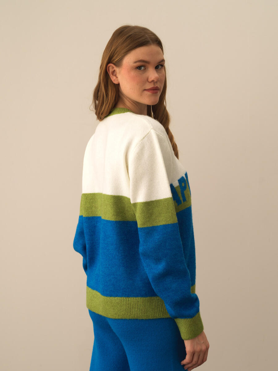 Crew Neck Regular Fit Sweater - 3